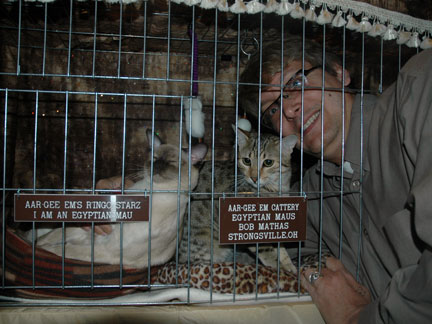 Caged animals! Caged animals!